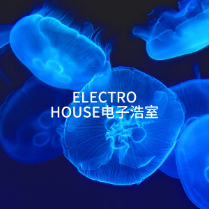 Compilation Electro-House的专辑Electro House电子浩室