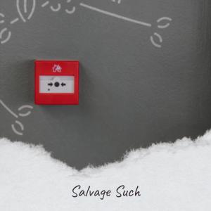 Album Salvage Such oleh Various Artists