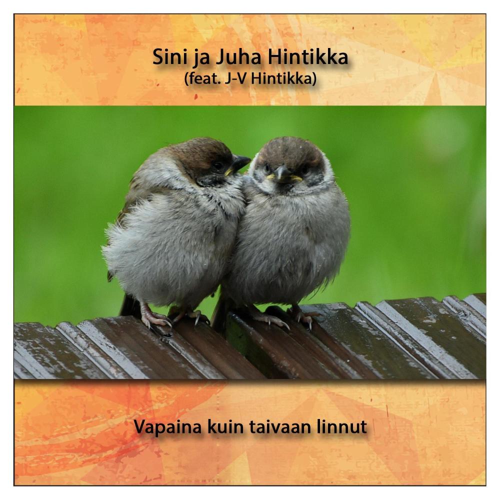 Vapaina kuin taivaan linnut
