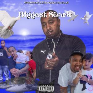 BDM Drewski的專輯Biggest Shark (feat. King Nooch & Big Dough) (Explicit)