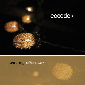 Eccodek的專輯Leaving