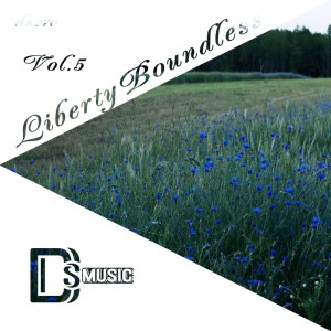 群星的專輯Liberty Boundless, Vol. 5