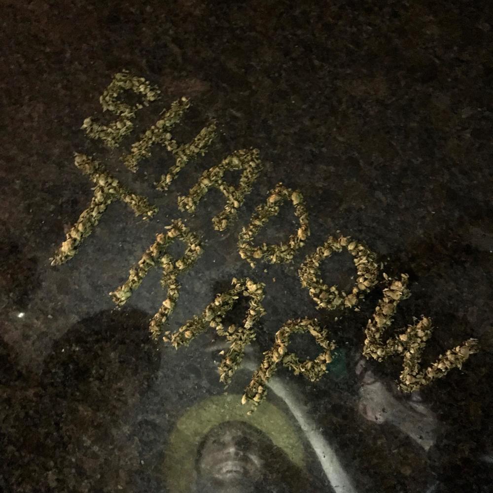 Fly Son (Explicit)