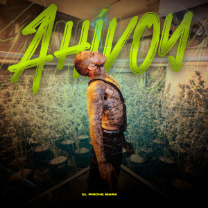 Album Ahi voy (Explicit) from El Pinche Mara