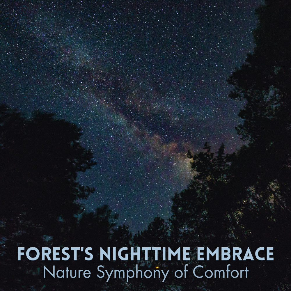 Nightfall's Serenity: Nature's Warm Embrace