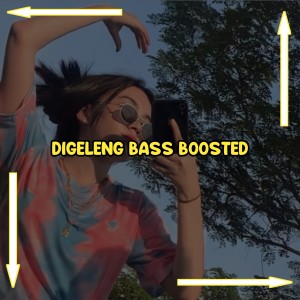 Dj Poyokz的专辑Digeleng Bass Boosted