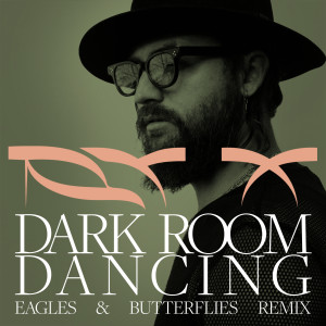 RY X的專輯Dark Room Dancing (Eagles & Butterflies Remix)