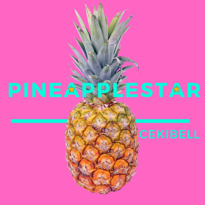 Dengarkan lagu Pineapplestar (Pappappirippa) nyanyian Cekibell dengan lirik