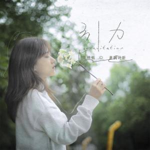 Listen to 引力 song with lyrics from 音阙诗听