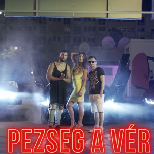 Album Pezseg a vér from Herceg