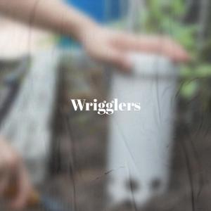 Wrigglers dari Various Artists