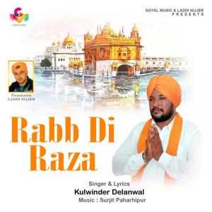 Kulwinder Delanwal的专辑Rabb Di Raza