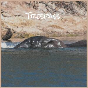 Album Trespass from Various