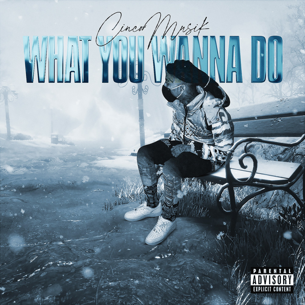 What You Wanna Do (Explicit)