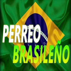 收聽Dj Perreo的Mix Perreo Brasileño - Mejores Perreos Brasil 2020歌詞歌曲