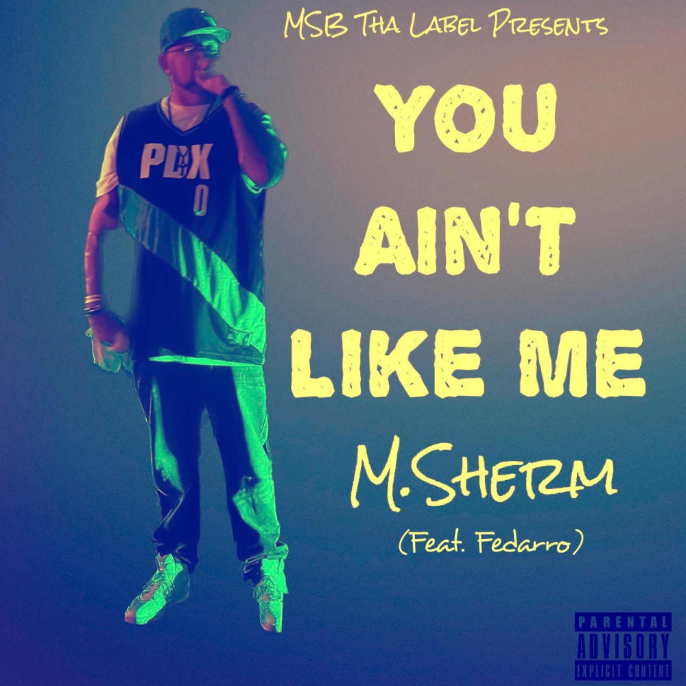 You Ain't Like Me (feat. Fedarro) (Explicit)