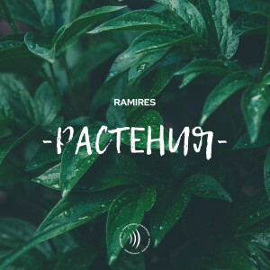 Album Растения (Explicit) from Ramires