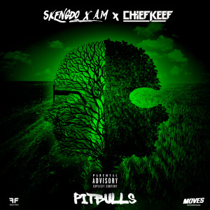 Album Pitbulls (Explicit) from Chief Keef