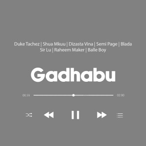 Listen to Gadhabu (Explicit) song with lyrics from Duke Tachez