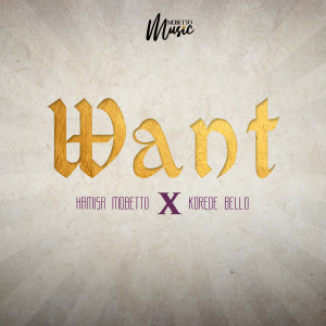 Album Want from Hamisa Mobetto