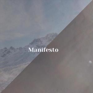 Album Manifesto from Various