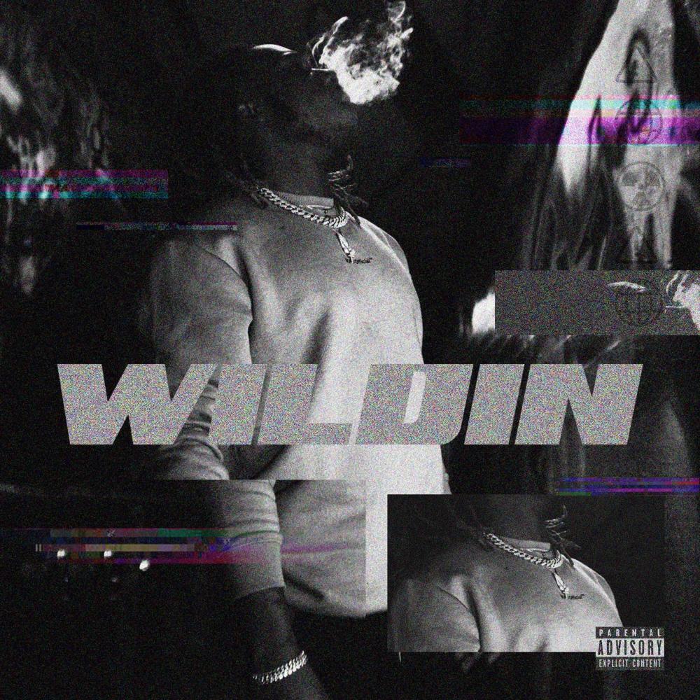 Wildin (Explicit)