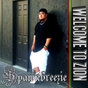 Listen to Why song with lyrics from Spawnbreezie