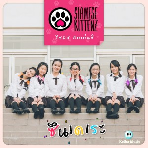 ดาวน์โหลดและฟังเพลง ซึนเดเระ พร้อมเนื้อเพลงจาก Siamese Kittenz