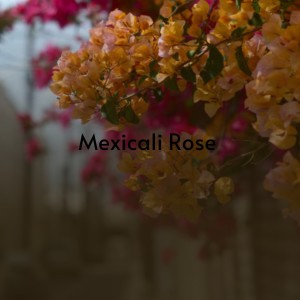 Album Mexicali Rose from Various