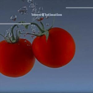 收听Sherna Weez的Yourself Intimation歌词歌曲