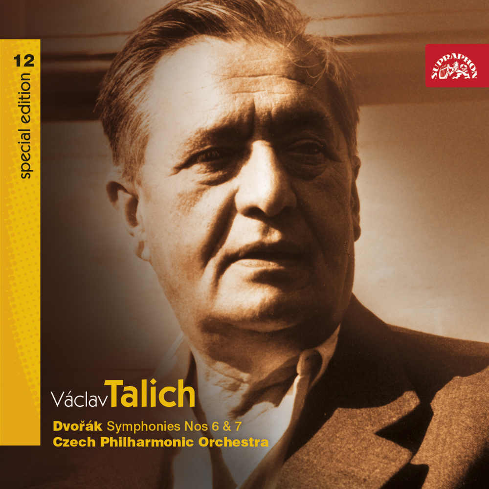 Symphony No. 7 in D-Sharp Minor, Op. 70, .: VI. Finale. Allegro