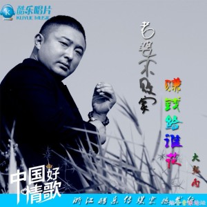 Album 老婆不败家 from 大张雨