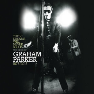 ดาวน์โหลดและฟังเพลง What Do You Like? พร้อมเนื้อเพลงจาก Graham Parker