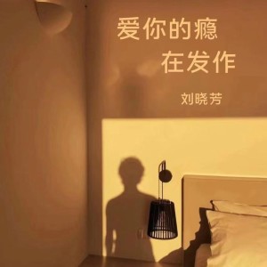 Album 爱你的瘾在发作 from 