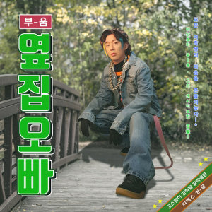Boom的专辑Boy next door