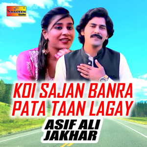 收听Asif Ali Jakhar的Koi Sajan Banra Pata Taan Lagay歌词歌曲