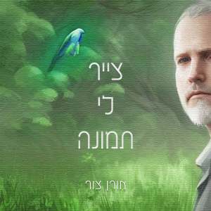 Listen to צייר לי תמונה song with lyrics from אורן צור