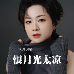 Album 恨月光太凉 from 大潞