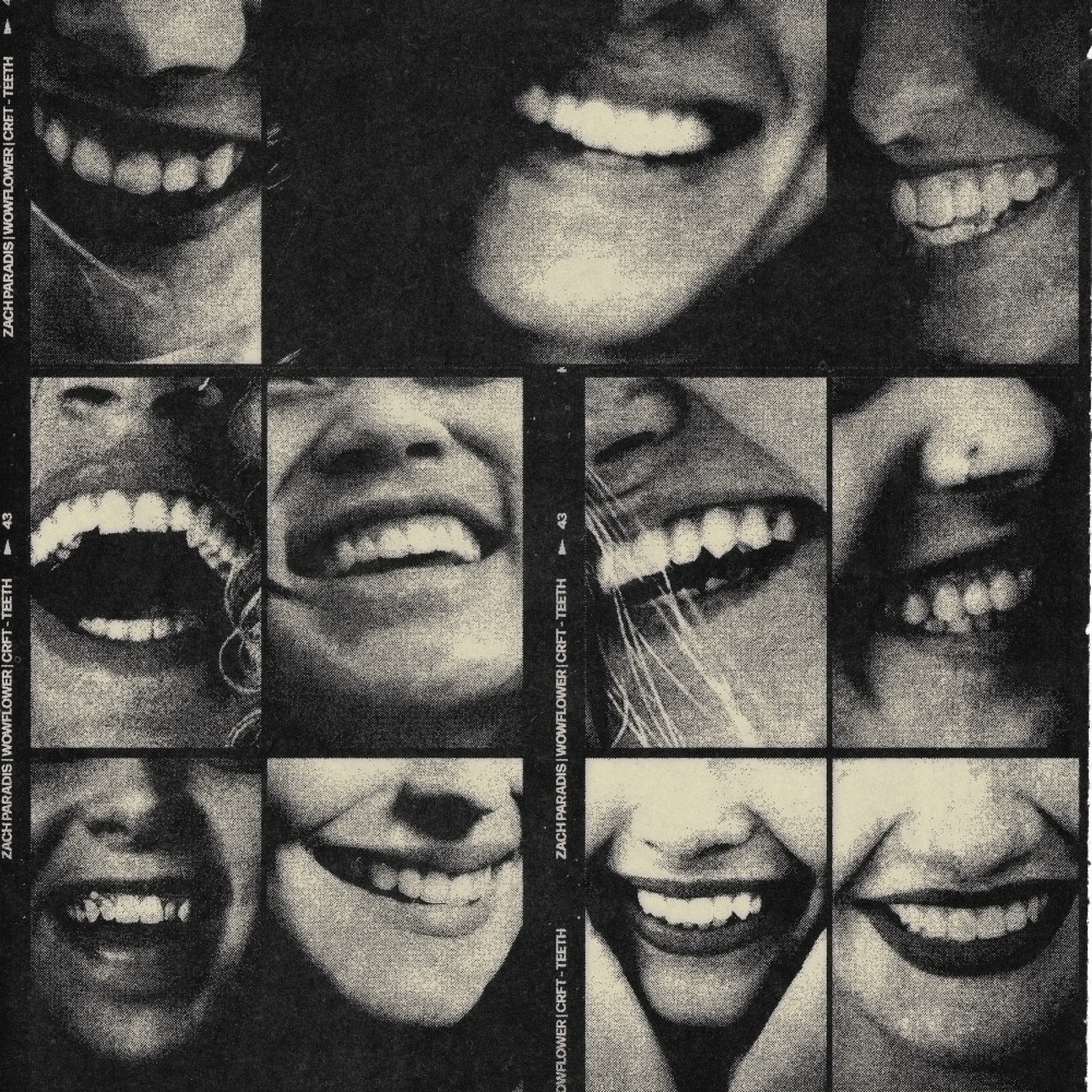 teeth