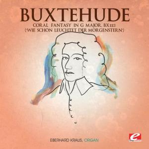 Buxtehude: Coral Fantasy in G Major, Bx 223 "Wie schön leuchtet der Morgenstern" (Digitally Remastered)