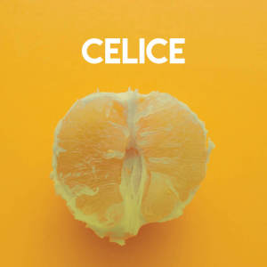 ดาวน์โหลดและฟังเพลง Celice พร้อมเนื้อเพลงจาก Chateau Pop