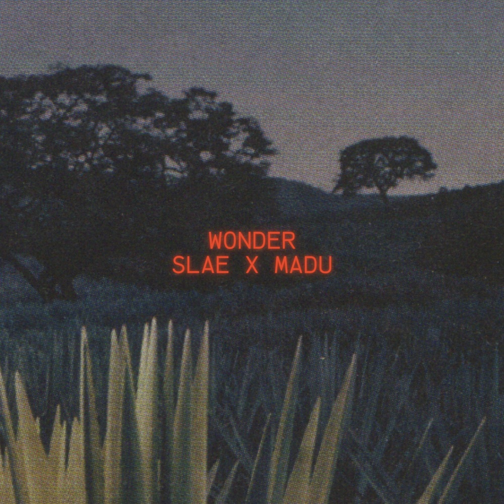 Wonder (Explicit)