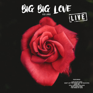 ดาวน์โหลดและฟังเพลง Barefoot (Live) พร้อมเนื้อเพลงจาก k.d.lang