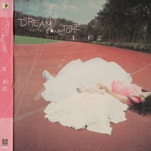 ดาวน์โหลดและฟังเพลง 不想 พร้อมเนื้อเพลงจาก 王羚柔