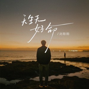 Album 天生无好命 from 刘阳阳