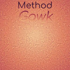 Various的专辑Method Gawk