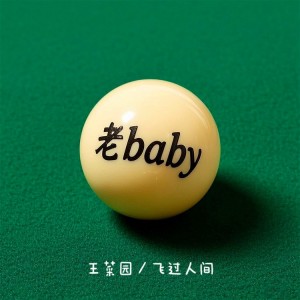 Album 老baby from 