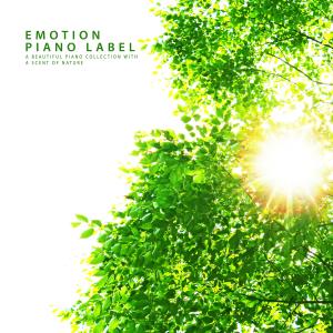 ดาวน์โหลดและฟังเพลง Soft Night Breeze Nature Version (Nature Ver.) พร้อมเนื้อเพลงจาก 조이엘