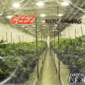 Listen to New Strains (Explicit) song with lyrics from Geez