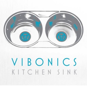 ดาวน์โหลดและฟังเพลง Prunk พร้อมเนื้อเพลงจาก Vibonics